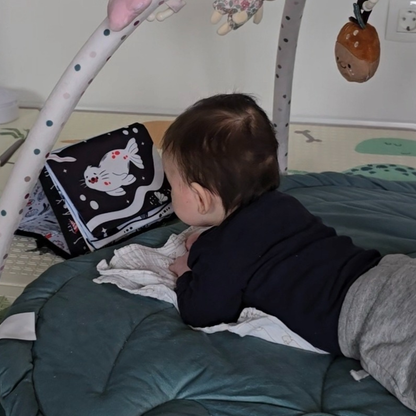 Jucărie senzorială pentru joaca pe burtică cu claxon | 0–12 luni